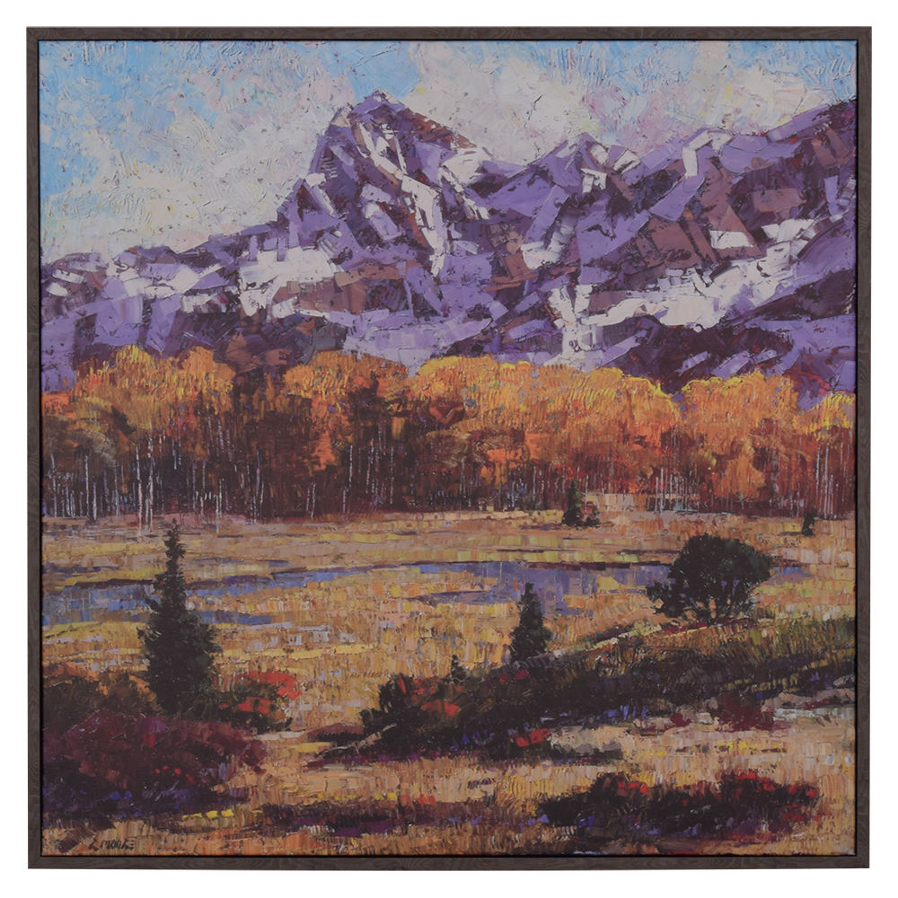 Picture of Rocky Mountain Meadow Framed Canvas by Robert Moore