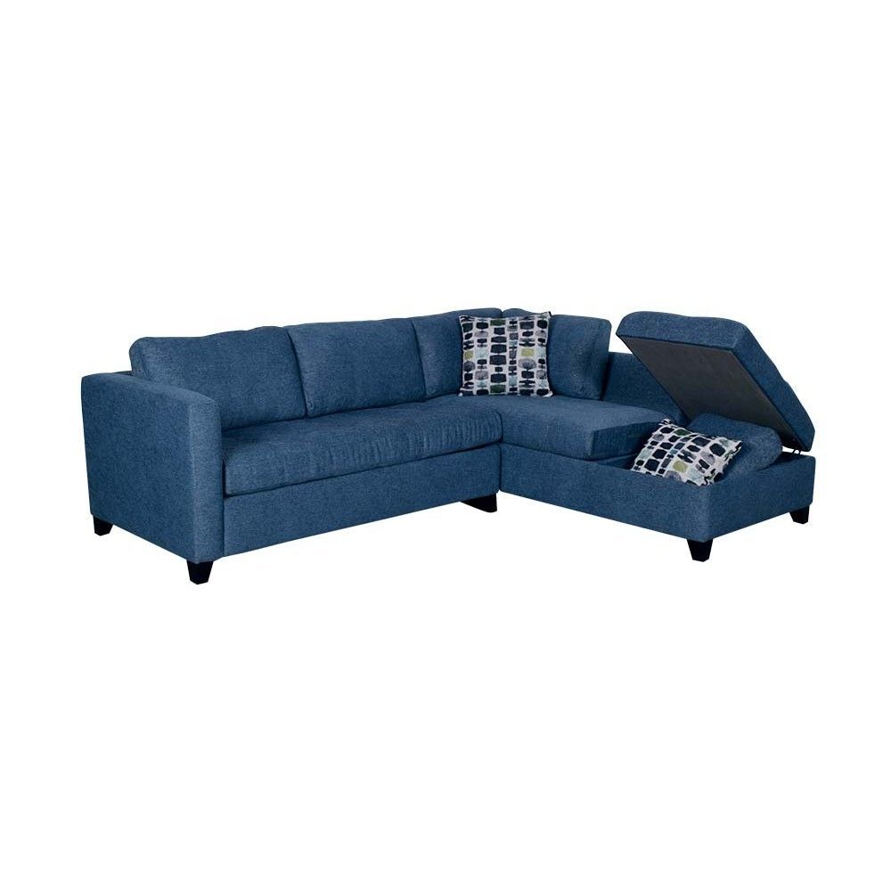 Picture of Dexter 2-Piece Sleeper Sectional with Storage